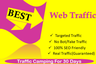 drive you 110,000 targeted organic USA web traffic