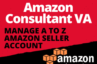 your amazon consultant VA and manage a to z seller account
