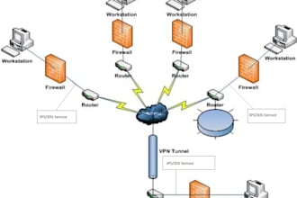 develop network architectures and manage IT projects