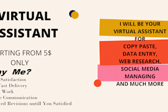 do data entry, internet research and social media marketing
