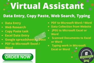 do data entry, copy paste, web search,typing job, virtual assistant