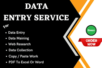 do data entry, typing work, copy paste and excel data entry
