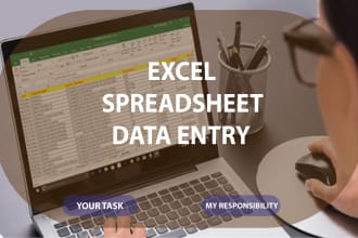 do professional excel spreadsheet data entry and copy paste