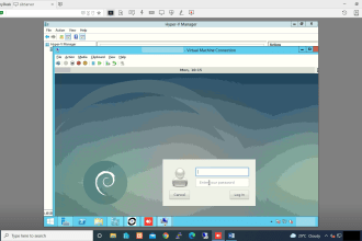 install linux or windows os on virtual machines
