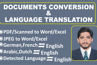 translate, redesign and redraft ms word and PDF documents