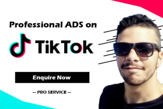 run tik tok ads campaign for your business