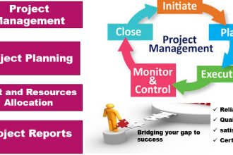 编写项目管理，风险评估和管理以及任何相关任务