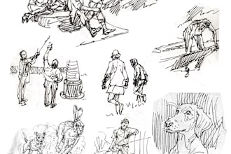create hand drawn ink sketch and pencil illustration