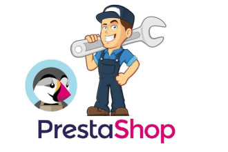 工作，修复，创建，自定义您的PrestAshop电子商务网站