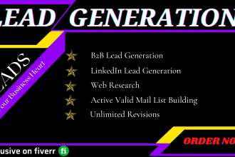 provide targeted b2b lead generation with linkedin lead and data entry