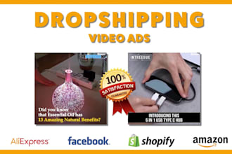 create viral dropshipping and facebook video ads