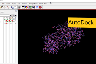 do molecular docking, drug discovery, primer designing