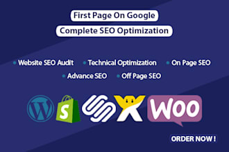 do website on page SEO optimization service for google top ranking
