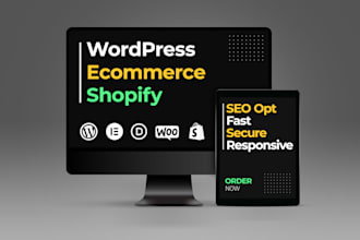 create a responsive SEO friendly wordpress website