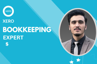 set up xero, categorize reconcile transactions and reporting