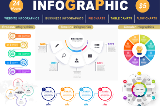 design flowcharts, piecharts, business infographic design