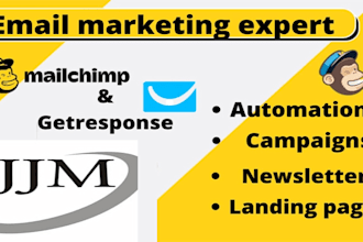 build a professional mailchimp landing page,  automation, campaign