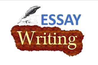write an essay on any topic