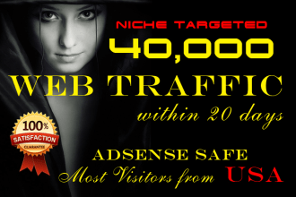 bring real USA targeted organic web traffic