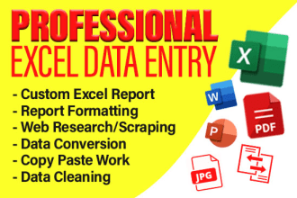 create pro custom excel spreadsheet and report formatting