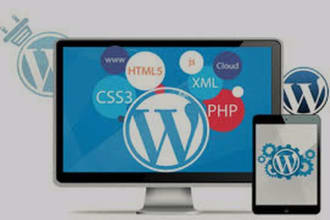 develop ott video streaming wordpress website