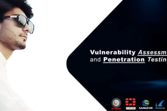 do vulnerability assessment and penetration testing