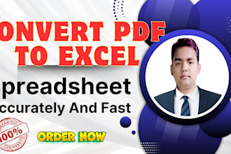 fast and accurate PDF to excel or spreadsheet conversion