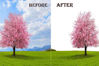 professionally remove and edit photo background