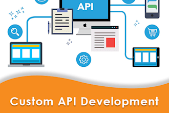 make custom API and API integration