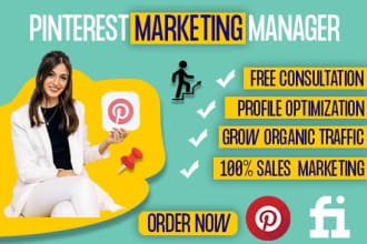 be your pinterest marketing manager to boost website traffic