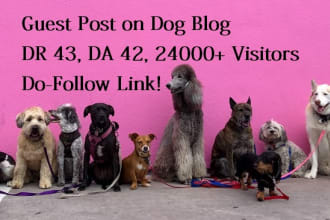 do a guest post on the pet blog