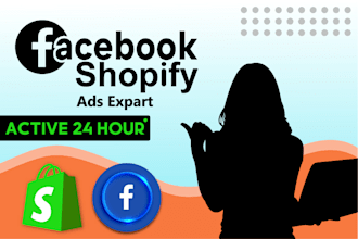 create and setup shopify facebook ads , retargeting campaign, management, fb ads