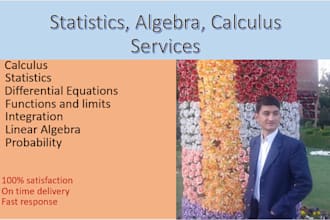 tutor algebra, statistics and calculus