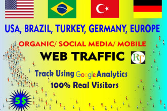 provide USA brazil germany turkey europe organic traffic
