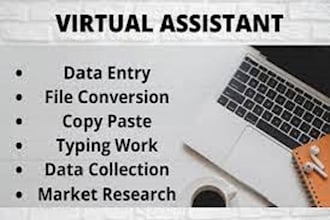 be your virtual assistant for copy paste and web research