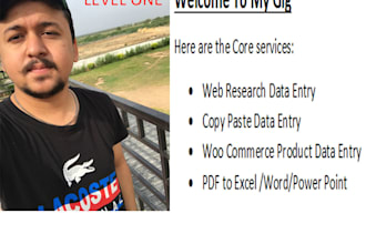 do data entry, web research and copy paste work