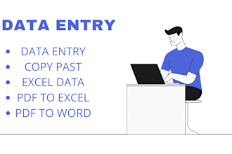 do data entry, copy paste, PDF to word, PDF to excel