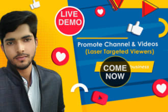 do laser targeted youtube promotion with google ads