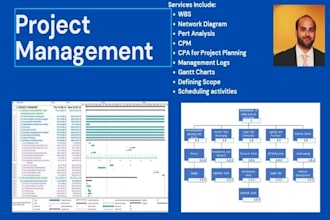 do all project management tasks including schedules and project management plans
