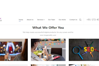 develop basic and ecommerce website with latest plugins