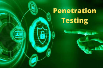 do monthly website penetration and vulnerability test