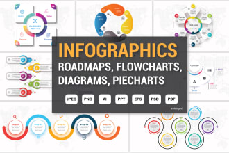 design high quality infographic flowchart and diagrams in 12hrs