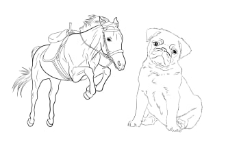 create coloring pages about animals