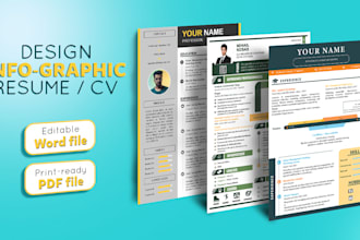 create professional infographic cv design,resume and cv templates