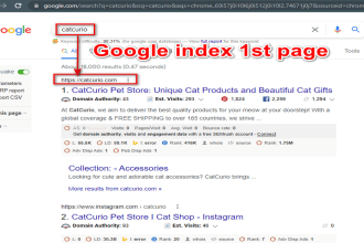 do index your website on google and all search engines