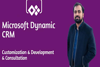 provide consultancy on customization of microsoft dynamics CRM
