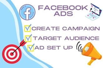 set up facebook ads campaign and fb advertising