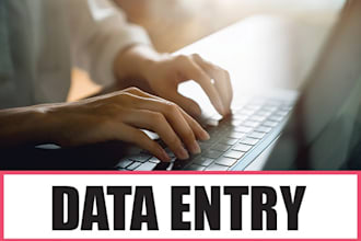 do data entry, copy paste, excel data entry work