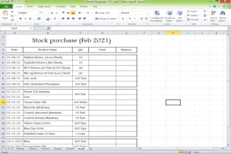 make accounts and audit summary sheet