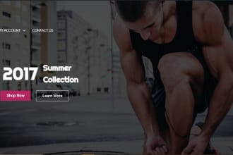 build wordpress ecommerce store online shop
